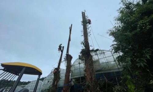 福浦邸　芦北町湯浦 _210708_7